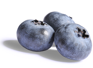 Blueberries