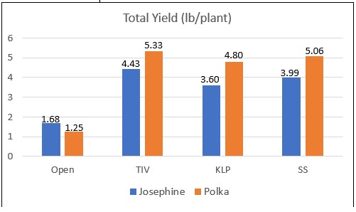 chart showing total yield per plant for Josephine and Polka raspberry plants. 