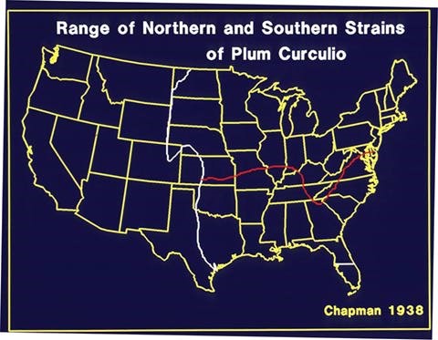 Distribution map of geographic strains of plum curculio