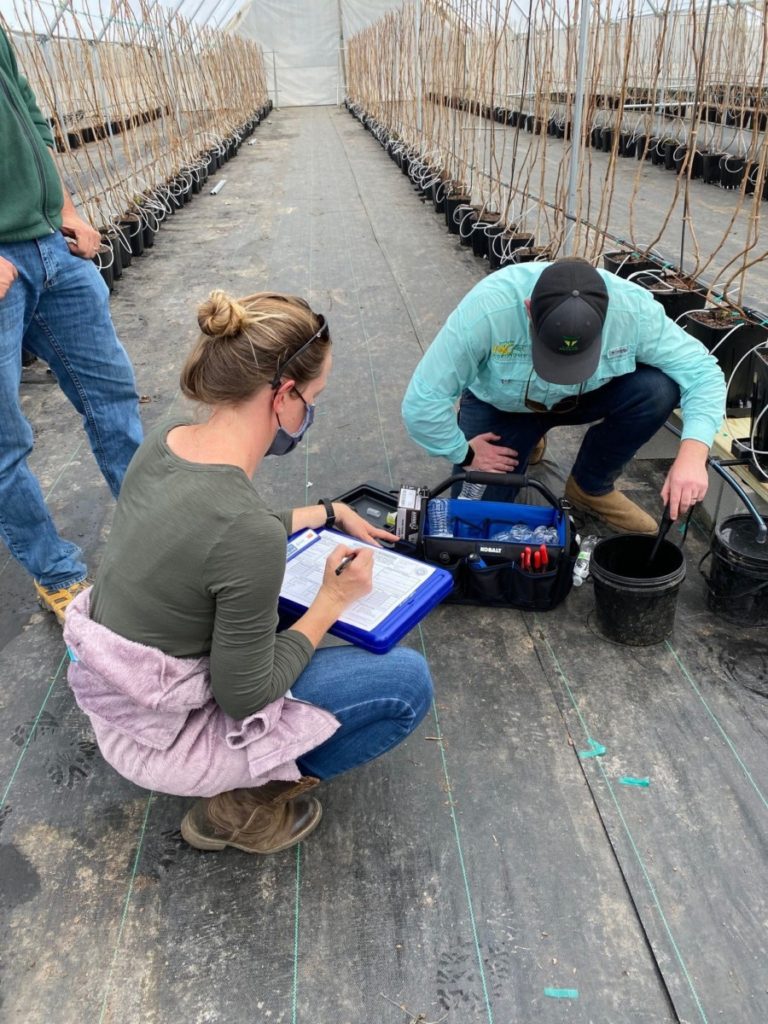 The pH and EC of the nutrient solution is checked on a daily basis. Photo credit: Gina Fernandez.