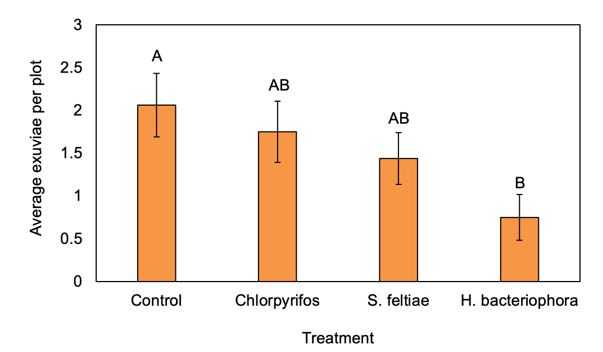 Figure 5. The season average number of exuviae observed near the base the grape vines treatment per plot. Bars with the same letter do not significantly differ (P = 0.05, Student's t).