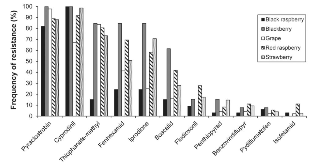 Figure 3. The frequency of isolates that were resistant to eleven fungicides representing seven commonly used fungicide modes of action (FRAC groups) with isolates collected from different small fruit crops (Cosseboom and Hu 2021).