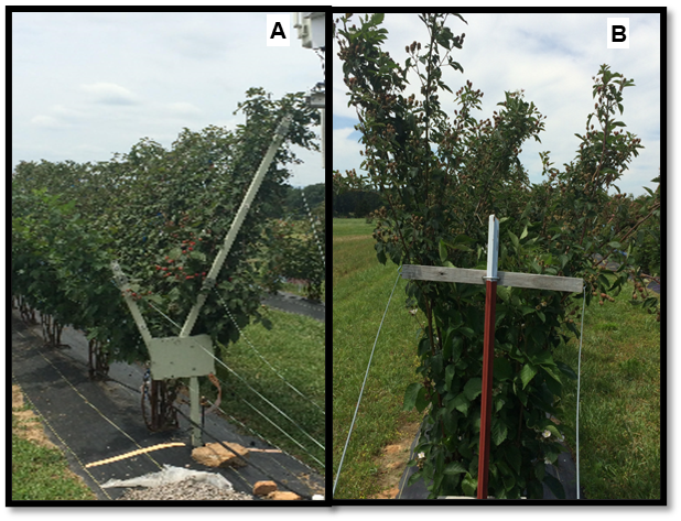 Rotating cross-arm trellis and T-trellis