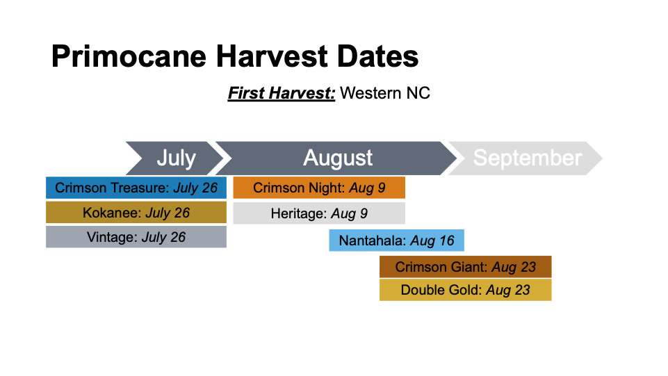 Timeline of primocane harvest dates. See table below for data.
