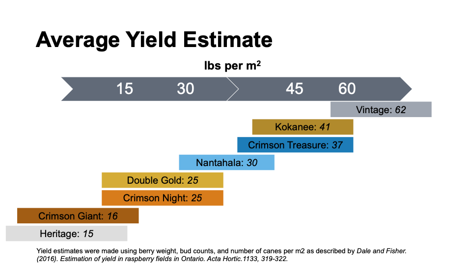 Chart of average yield estimates for raspberries. See table below for data.