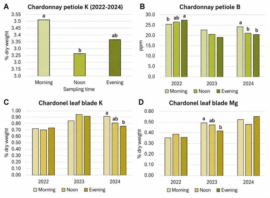 Four-panel bar chart comparing potassium (K), boron (B), and magnesium (Mg) concentrations in Chardonnay petioles and Chardonel leaf blades by sampling time (morning, noon, and evening) across the 2022–2024 growing seasons. Bars show nutrient concentrations for each sampling time, with letters above some bars indicating statistically significant differences.