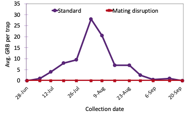 Graph comparing grape root borer male moth captures in pheromone-baited traps between a conventionally managed vineyard and a vineyard using mating disruption.