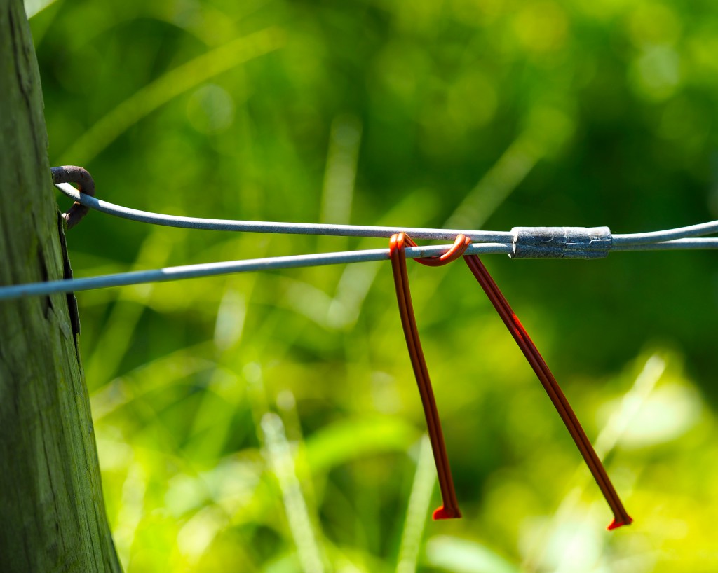 Pheromone dispenser used in vineyards to disrupt grape root borer mating and reduce future infestations.