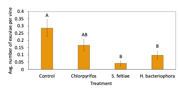 Bar chart showing average grape root borer pupal case counts in vineyards treated with beneficial nematodes, chlorpyrifos, and an untreated control.